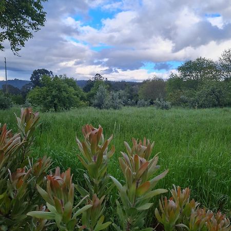 Quinta Jr - Casa De Campo Carregal  エクステリア 写真