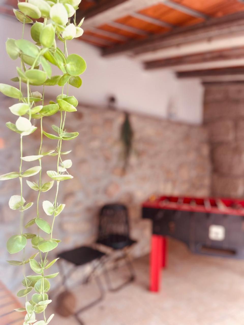 Quinta Jr - Casa De Campo Carregal  エクステリア 写真