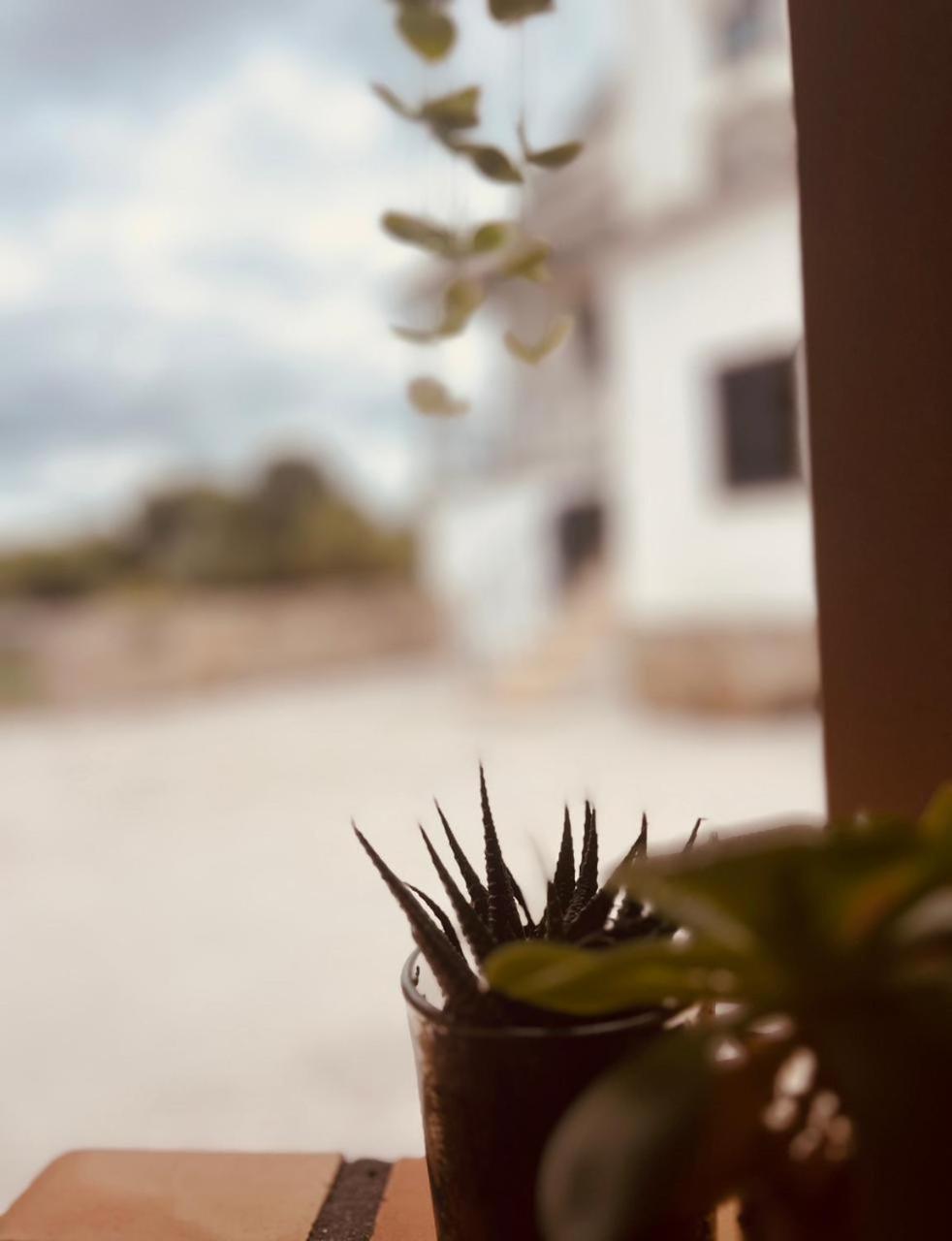Quinta Jr - Casa De Campo Carregal  エクステリア 写真
