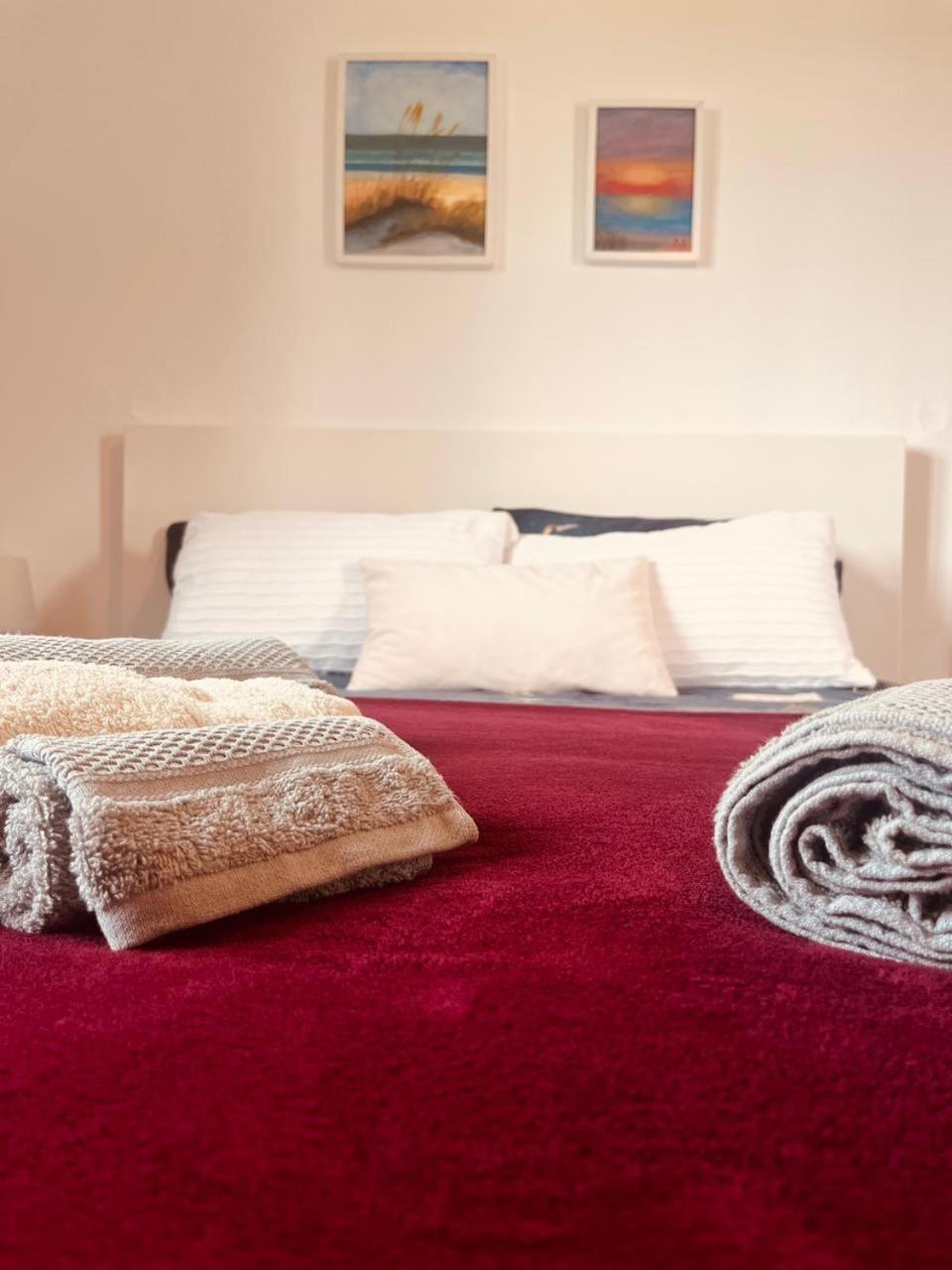 Quinta Jr - Casa De Campo Carregal  部屋 写真